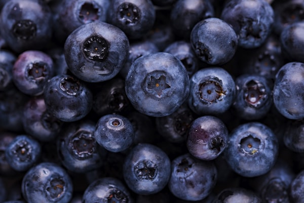 Food Research